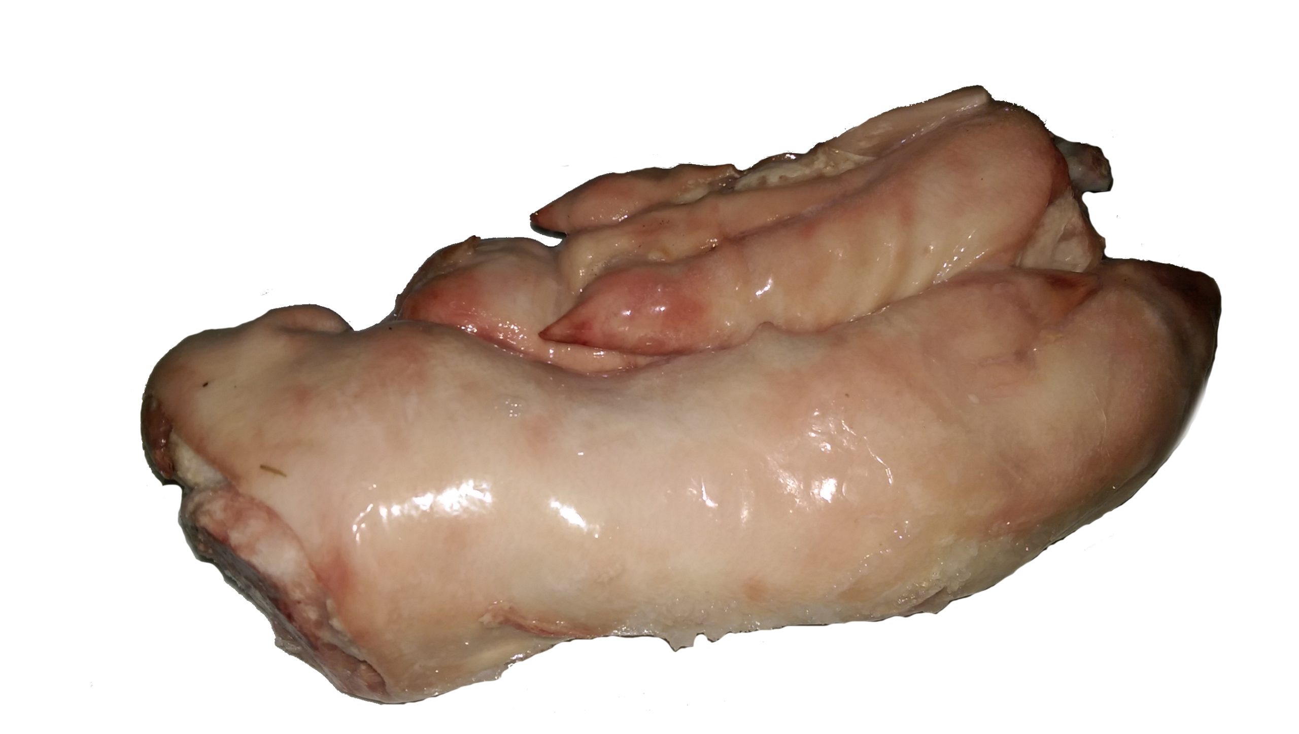 trotters