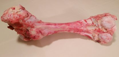Marrow Bone