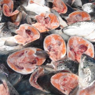 Salmon Heads