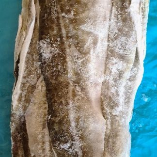 Fish Skins Small