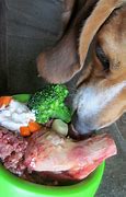 How To Raw Feed Your Dog