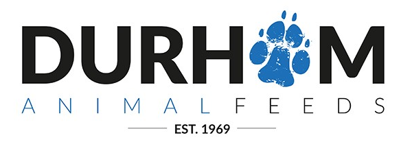 daf logo