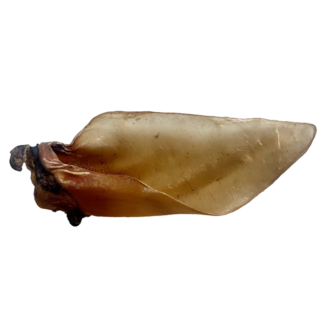 Buffalo Ear with Meat