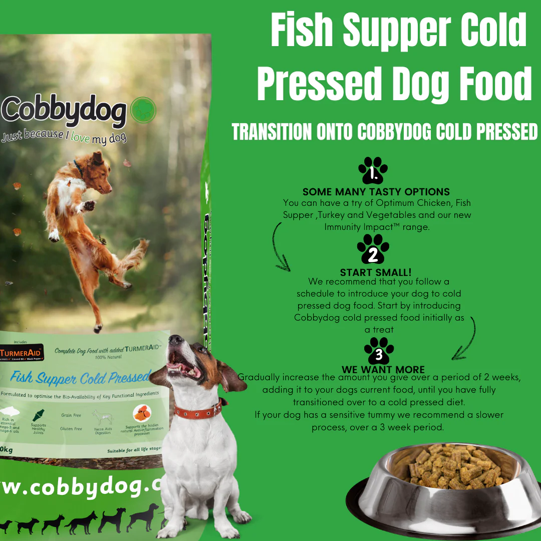 CP Fish Supper