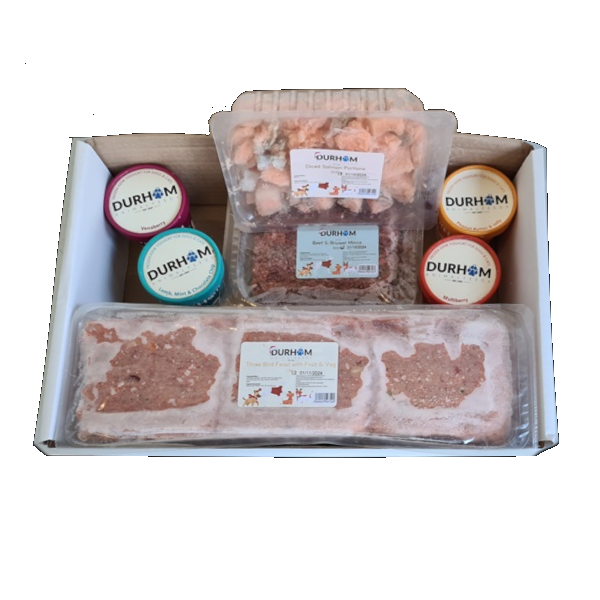DAF Christmas Box Open