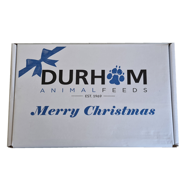 DAF Christmas Box