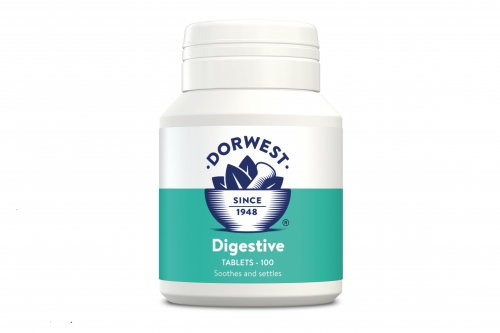 Digestive 100