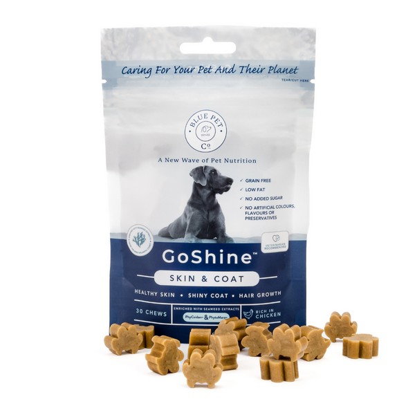 GoShine Chicken Skin and Coat