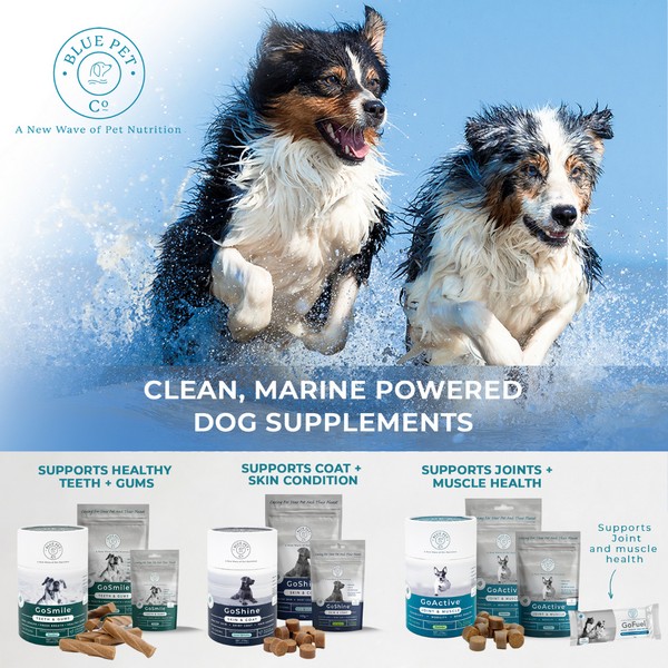 GoShine Skin and Coat Dog Supplements