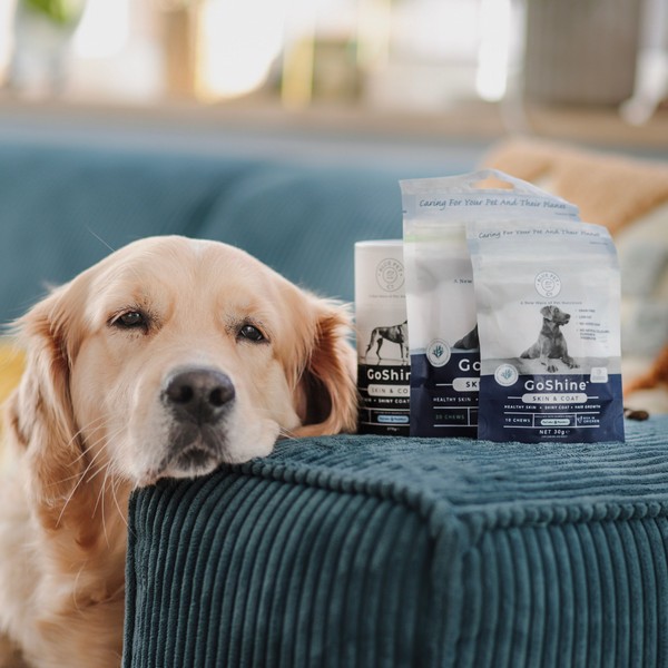 GoShine Skin and Coat Dog