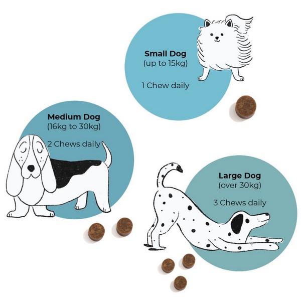 GoShine Skin and Coat Feeding Guide