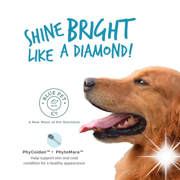 GoShine Skin and Coat Shine Bright