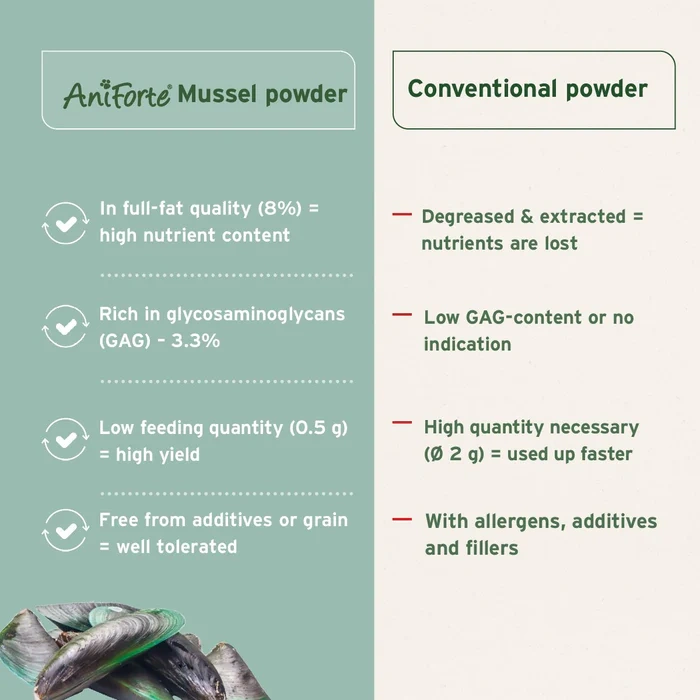 Green Lipped Mussel Powder Ingredients