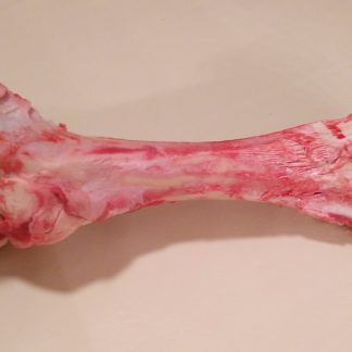 Marrow Bone