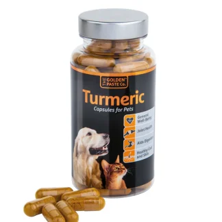 Golden Paste Turmeric Capsules 90
