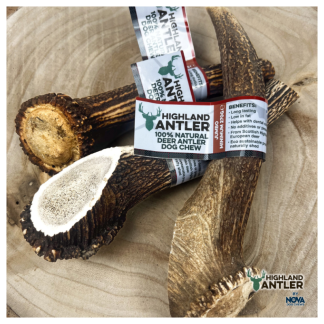 Nova Antler Jumbo