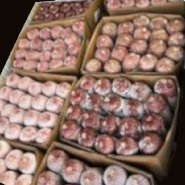 Bulmers Box of 20 Tripe and Oily Fish