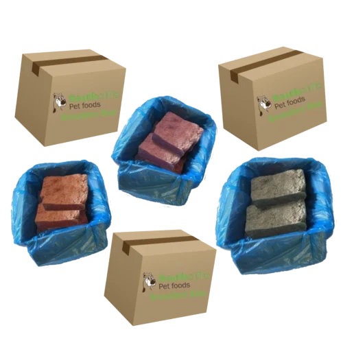 SouthCliffe Breeder Boxes SouthCliffe Breeder Boxes