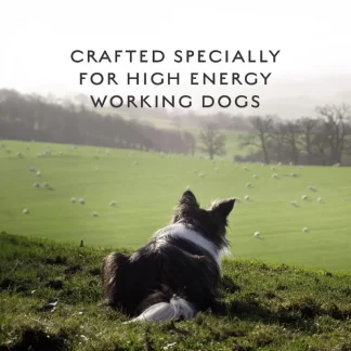 Canagan Working Dog Crafted Specially