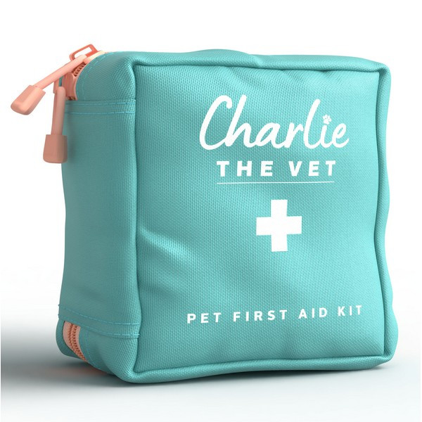 Charlie The Vet Mini Kit