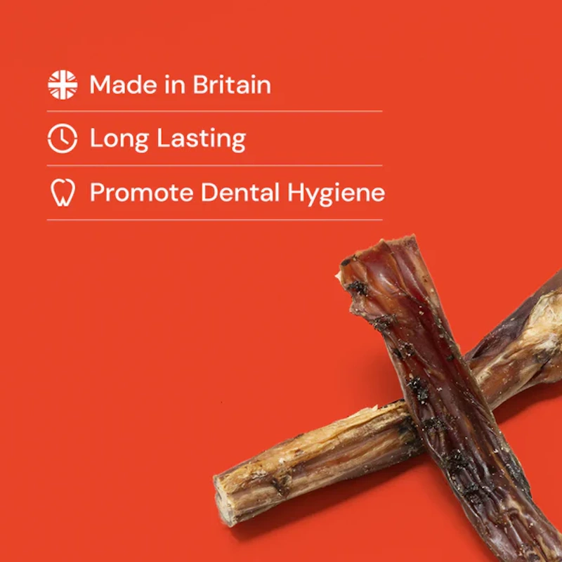 British Pizzles Bully Sticks Poster