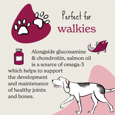 Forthglade Joint and Bones Bites collagen